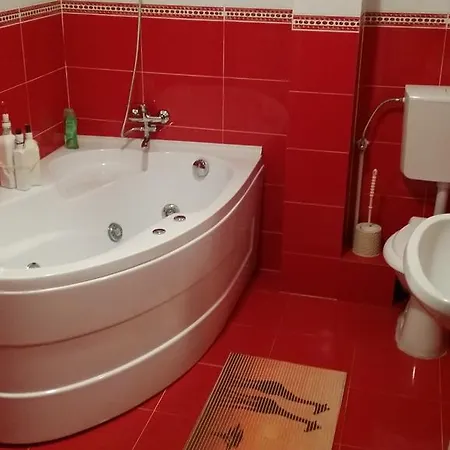 Tina Apartament Apartment Craiova